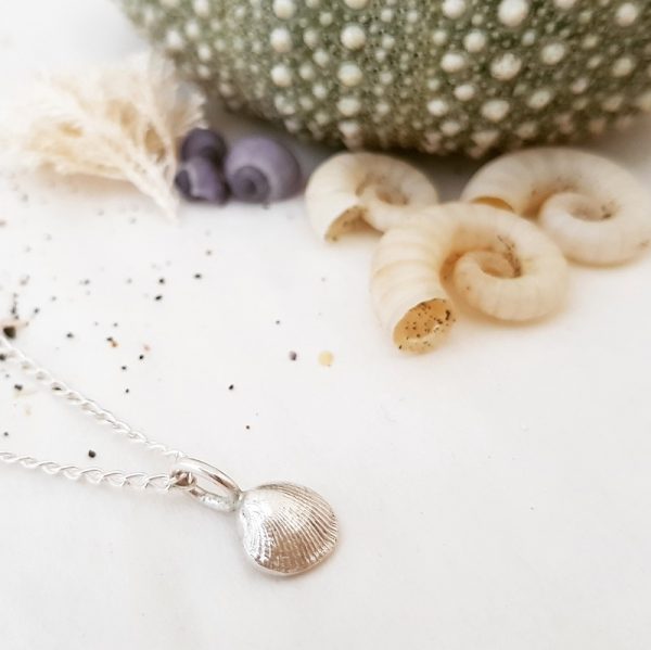 Baby Cockle Shell necklace