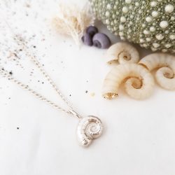Spirula / Ram’s Horn Shell Silver necklace